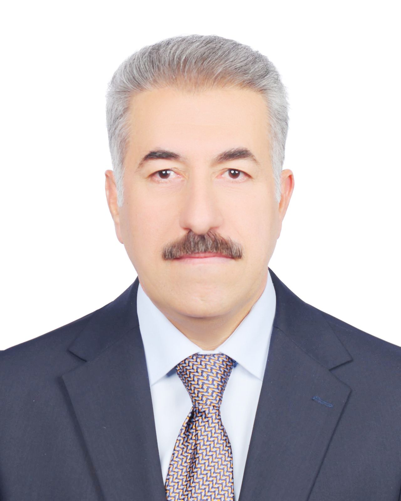 saadaldeen muhammad nuri saed